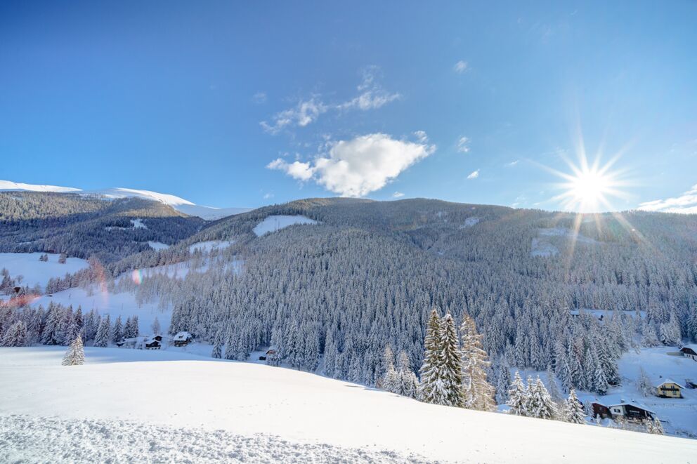 Paesaggio innevato con montagne e abeti sotto un cielo terso e il sole.