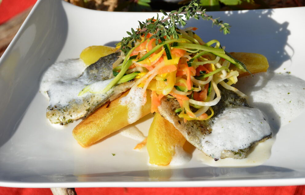 Gegrillter Fisch mit frischem Gemüse und Schaumsoße auf weißem Teller angerichtet.