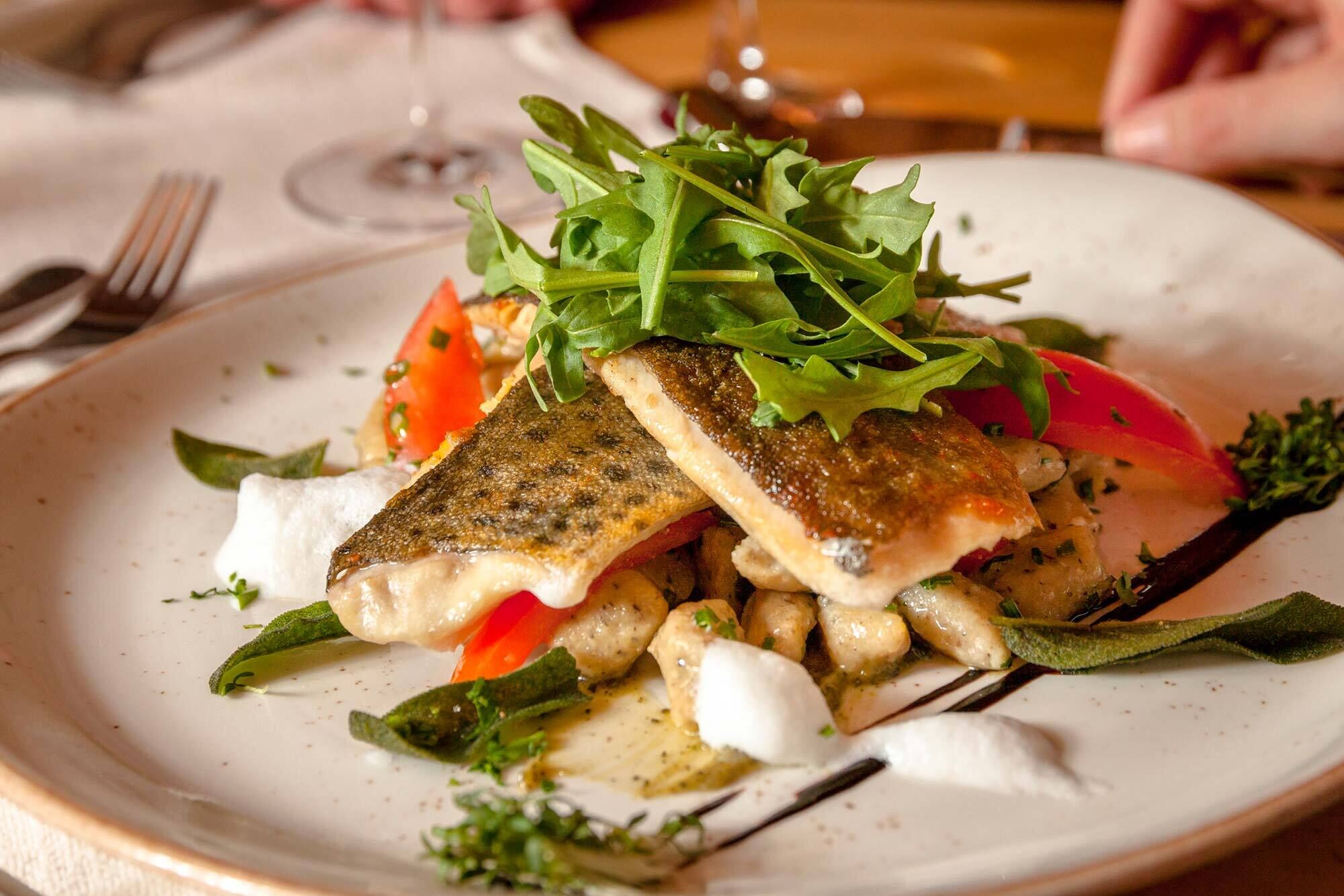 Gebratener Fisch mit frischem Gemüse und Kräutern auf elegantem Porzellanteller serviert.