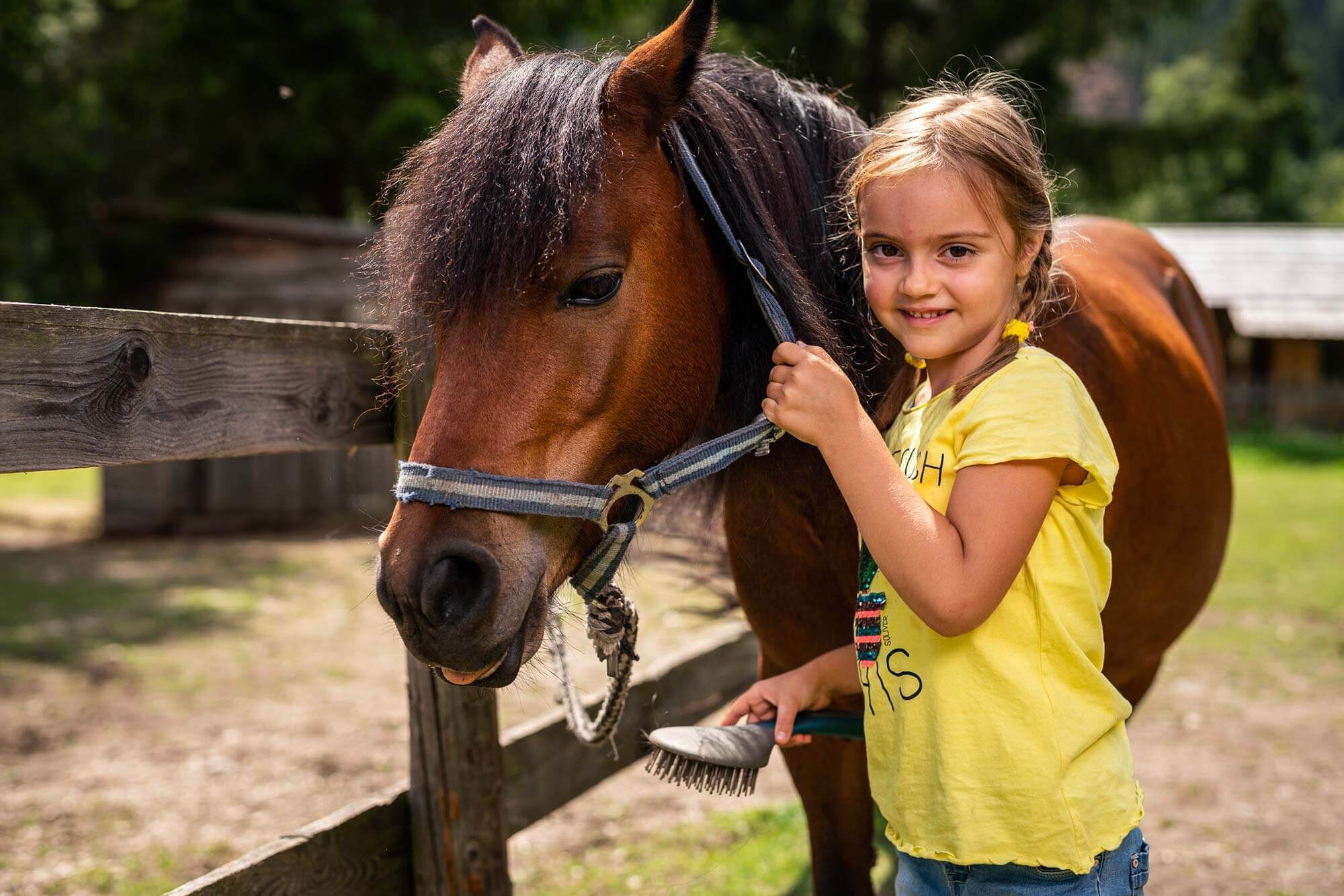 Ragazza che spazzola un pony in un ambiente rurale e soleggiato.