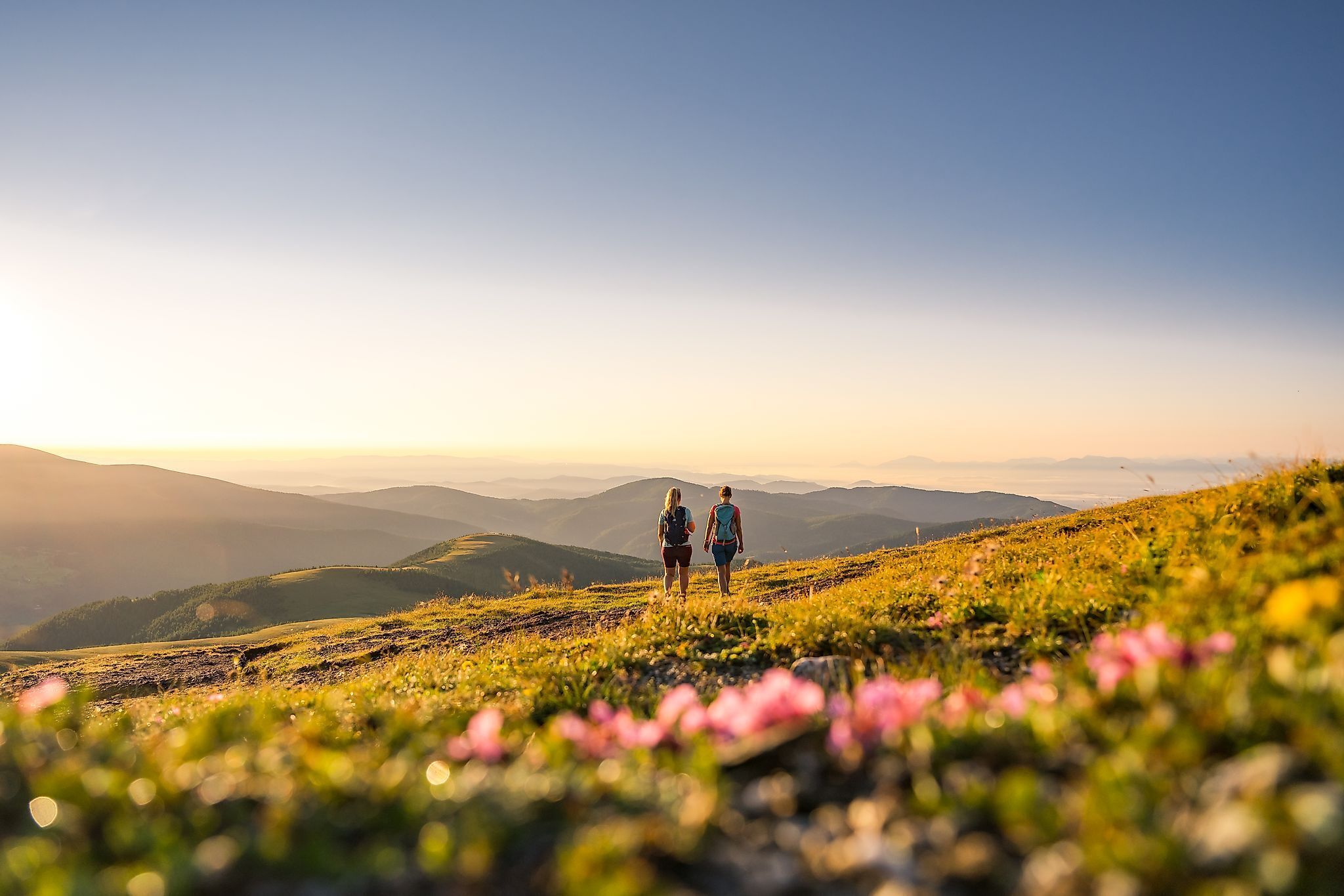 Due persone che fanno escursioni in un prato fiorito sui monti Nockberge al tramonto.