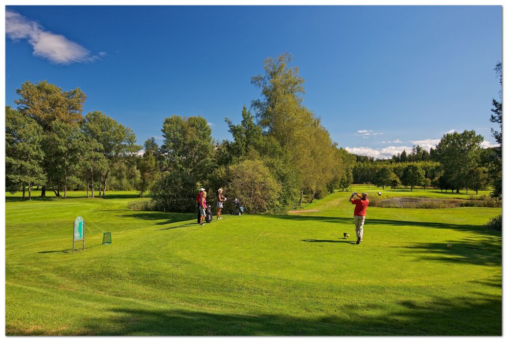 Golfer auf grünem Platz mit Bäumen und blauem Himmel im Hintergrund.