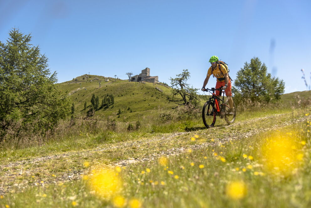 Radfahrer auf blühendem Weg in den Nockbergen bei Sonnenschein und blauem Himmel.