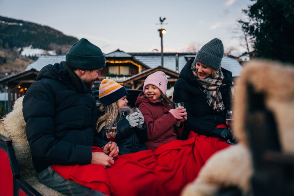 Family cuddles up on a sleigh ride, surrounded by wintry scenery and cozy blankets.