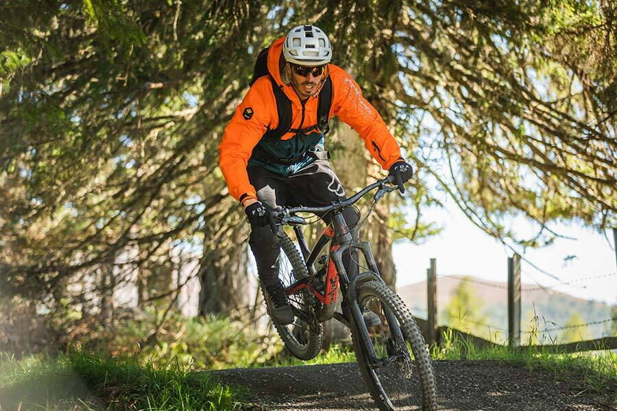 Radfahrer auf einem Flowtrail durch sonnigen Wald mit Mountainbike und Schutzkleidung.