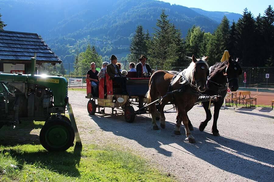 Horse-drawn carriage with guests against a picturesque mountain backdrop and tractor in the sunlight.
