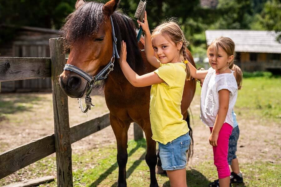 Due bambini accudiscono amorevolmente un pony in un prato assolato.