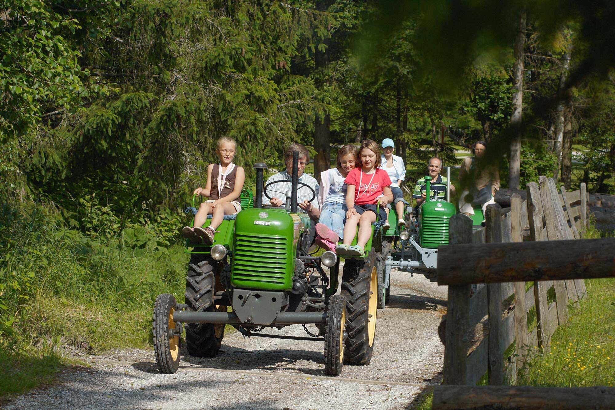 Happy families on tractors drive through a green forest path in the sunshine.