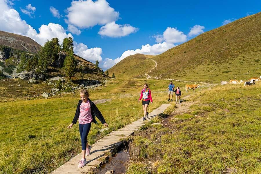 Familie wandert auf einem Holzsteg durch grüne, hügelige Landschaft mit Kühen.