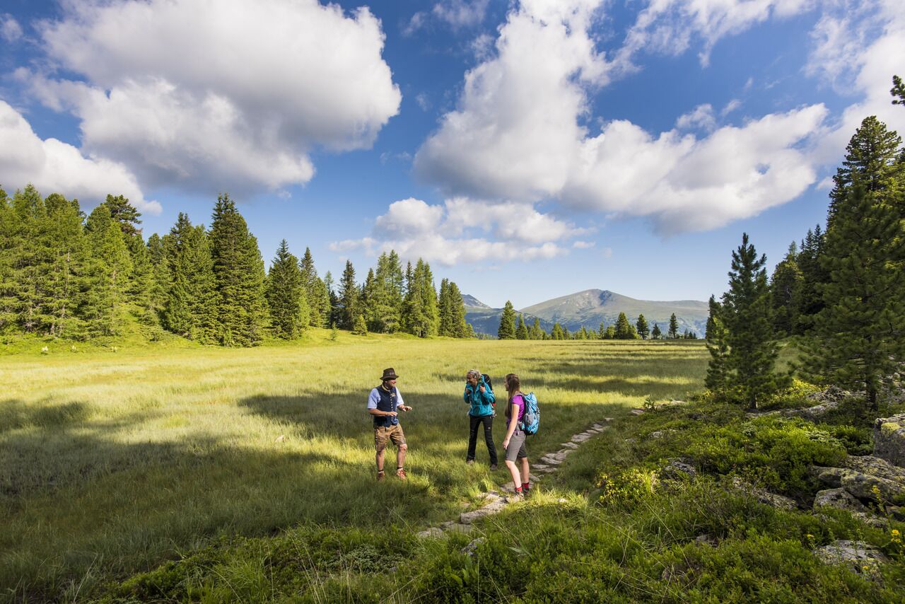 Drei Personen wandern über eine grüne Wiese mit Bergkulisse im Hintergrund.