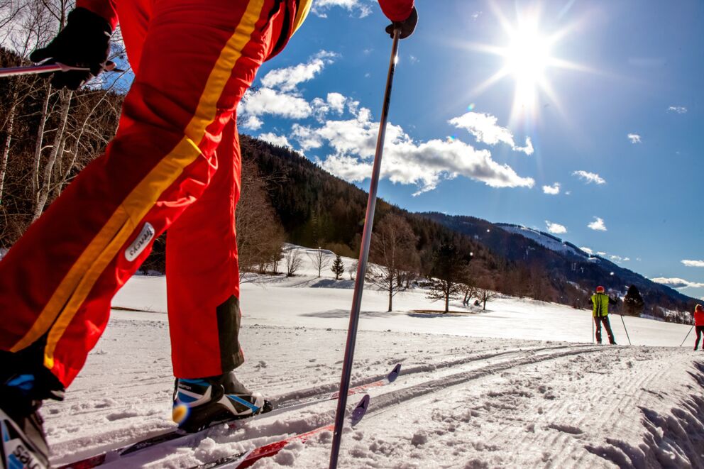 Skiers on a sunny trail in a picturesque winter landscape under a clear sky.