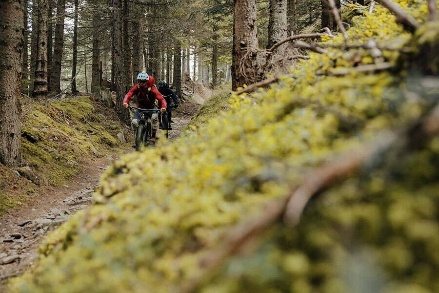 Due mountain biker su un sentiero stretto e boscoso nei monti Nockberge.